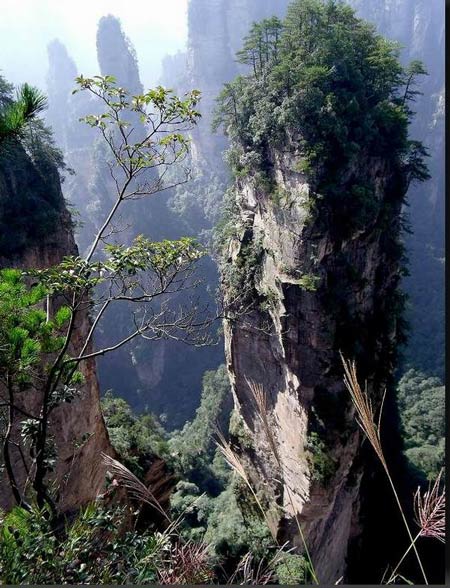 長沙出發(fā)到張家界溶洞奇觀黃龍洞、國家森林公園、袁家界、峰林之王天子山三日游（早班）